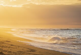 beach-5369061_1280
